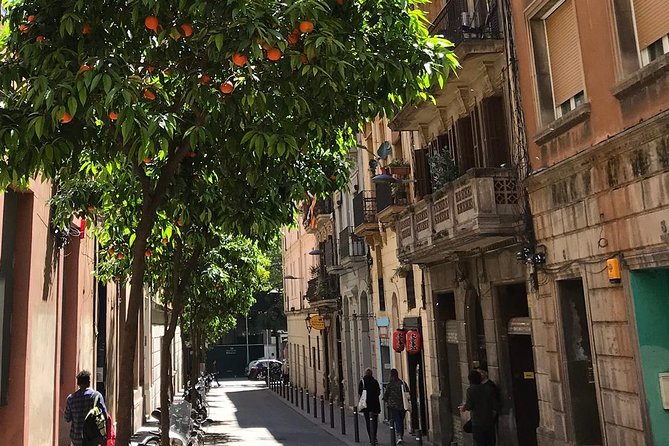 Barcelona Fun Wine Tasting with a Sommelier - The Sommelier Tasting: Wines, Pairing Logic, and Real Questions