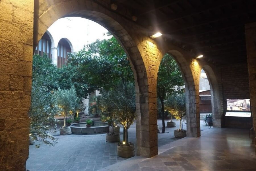 Barcelona: Gothic Quarter Walking Tour with Optional Pintxos - Price and What You’re Actually Getting for $18