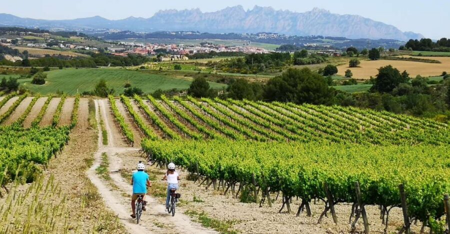 Barcelona: Guided Half-Day Wine and Electric Bike Tour - Key Things That Make This Wine + E-Bike Tour Work