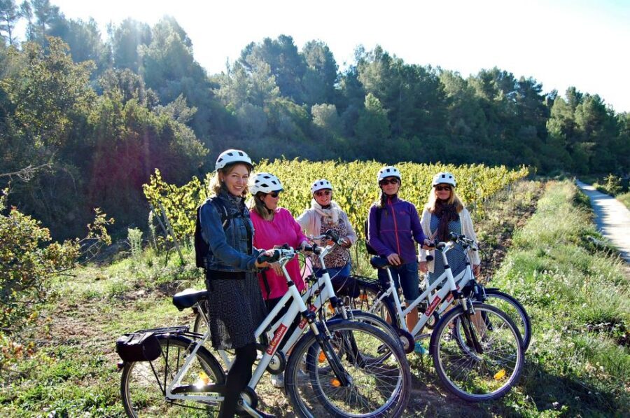 Barcelona: Guided Half-Day Wine and Electric Bike Tour - Tips to Get the Most Out of Your Half Day in Wine Country