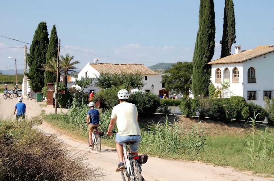 Barcelona: Guided Half-Day Wine and Electric Bike Tour - The Winery Stop: What You Learn About Wine and Cava Production