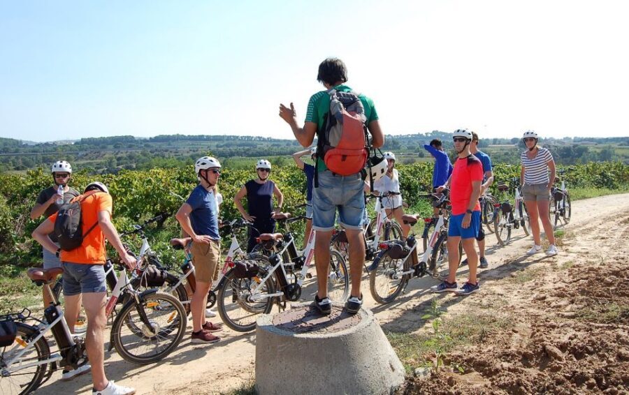 Barcelona: Guided Half-Day Wine and Electric Bike Tour - The Tasting: 3 Glasses of Local Wine and Cava