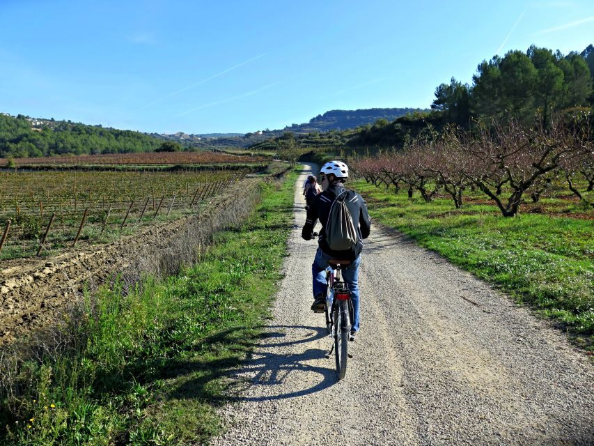 Barcelona: Guided Half-Day Wine and Electric Bike Tour - Price and Value: What $101 Actually Covers