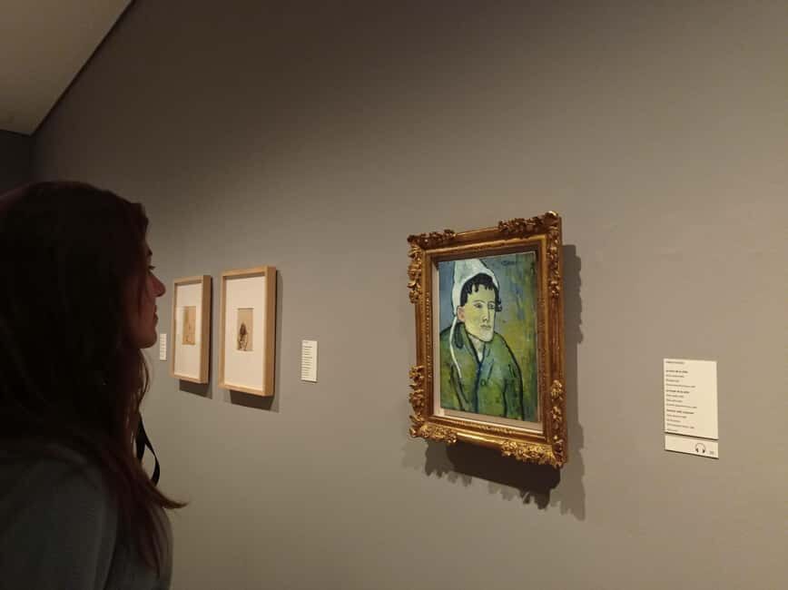 Barcelona: Guided Tour of the Picasso Museum with Tickets - Who this Picasso tour is best for