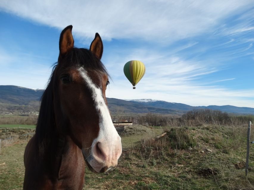 Barcelona: Hot Air Balloon Ride - The booking decision: should you go or pass?