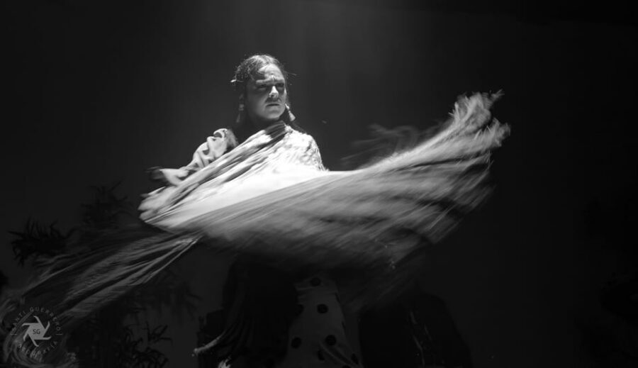 Barcelona: La Laietana Flamenco Show Ticket - Who This Flamenco Ticket Fits Best