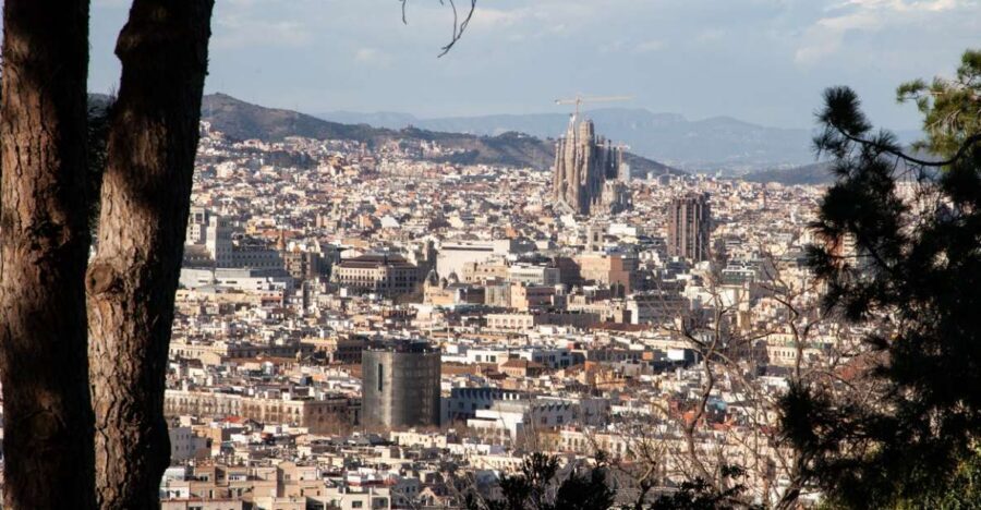 Barcelona: Montjuïc Walking Tour With Optional Flamenco Show - Starting at Montjuïc Castle: Fortress Views First
