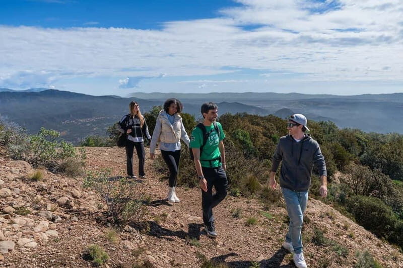 Barcelona: Montserrat Hike, Nature & Monastery, Semi-Private - The hike in Montserrat Natural Park: pilgrim paths, ravines, and huge views