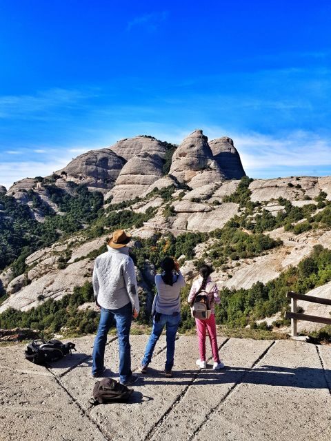 Barcelona: Montserrat Private Tour for Families with Pickup - Basilica of Montserrat: La Moreneta, the museum, and a moving exhibit