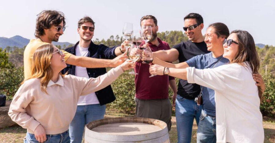 Barcelona: Montserrat, Winery Tour & Lunch with Wine Tasting - Getting from Barcelona to Montserrat without wasting your day