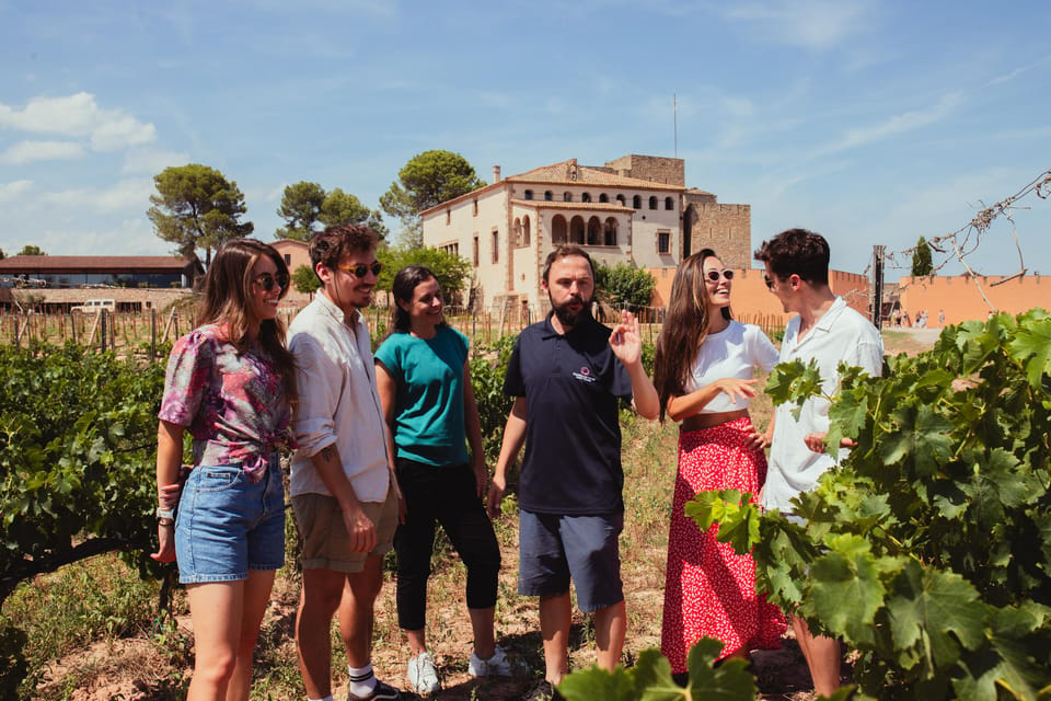 Barcelona: Montserrat with Winery, Lunch, and Train Options - Oller del Mas winery: tasting Catalonia in a 10th-century setting