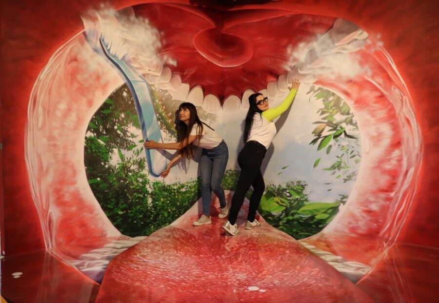 Barcelona: Museum of Illusions Entry Ticket - Value for money: what $17 gets you in real terms