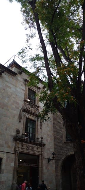 Barcelona: Mystical Walking Tour in the Gothic Quarter - Plàça Sant Jaume: The First 15 Minutes Set The Tone