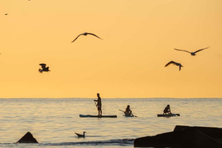 Barcelona: Paddlesurf Rental Barceloneta beach (75min) - The Equipment: JOBE Paddle Boards and a New Feel