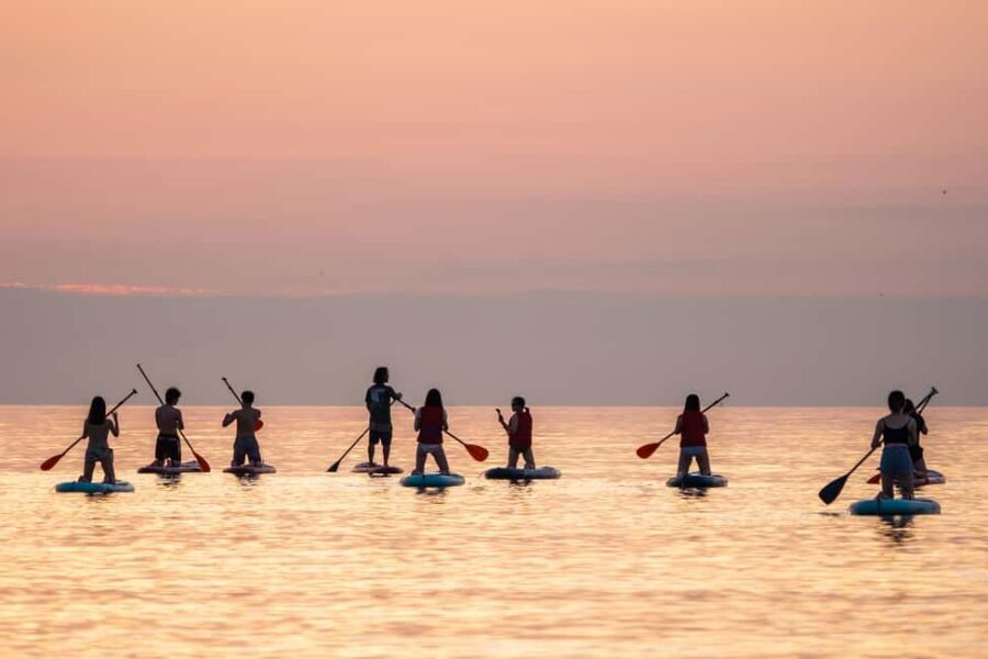 Barcelona: Paddlesurf Rental Barceloneta beach (75min) - What You Get: Included Gear That Actually Covers the Essentials