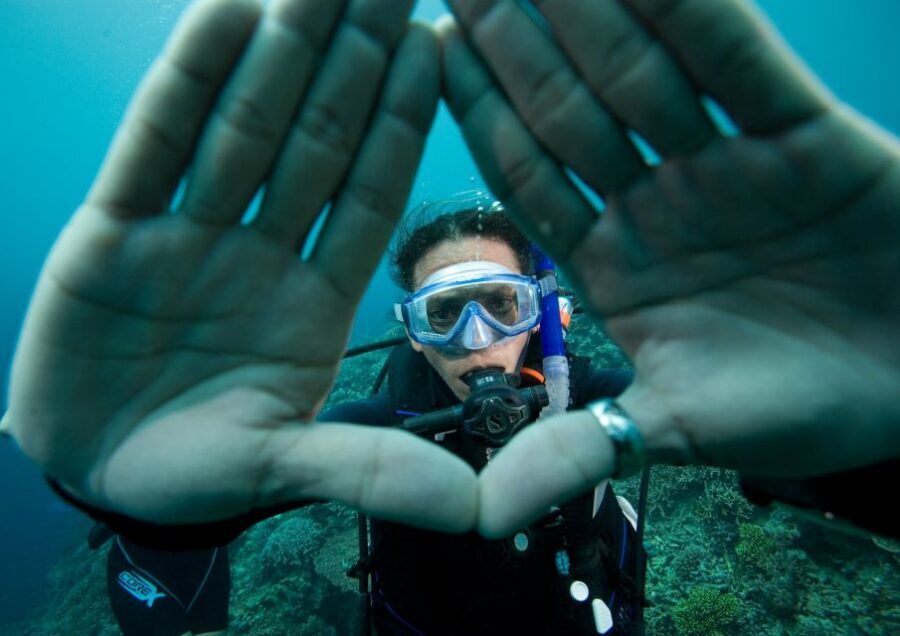 Barcelona: PADI Scuba Diver Course Certification Training - One-Day PADI Scuba Diver Training in Barcelona: What Makes It Work