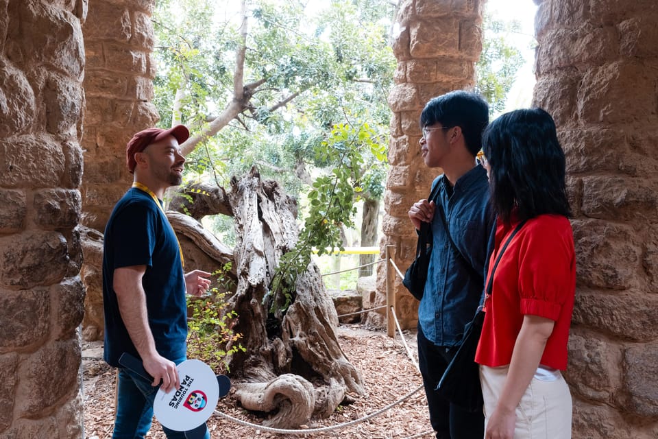 Barcelona: Park Güell Guided Tour with Fast-Track Access - What to wear and what to bring (so you don’t pay for it later)
