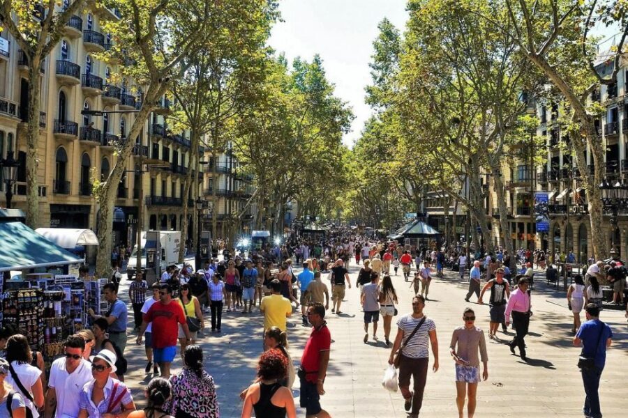 Barcelona & Park Güell: Private Half-Day Tour with Pickup - Montjuïc: Panoramas, Olympics Venues, and Plaça Espanya