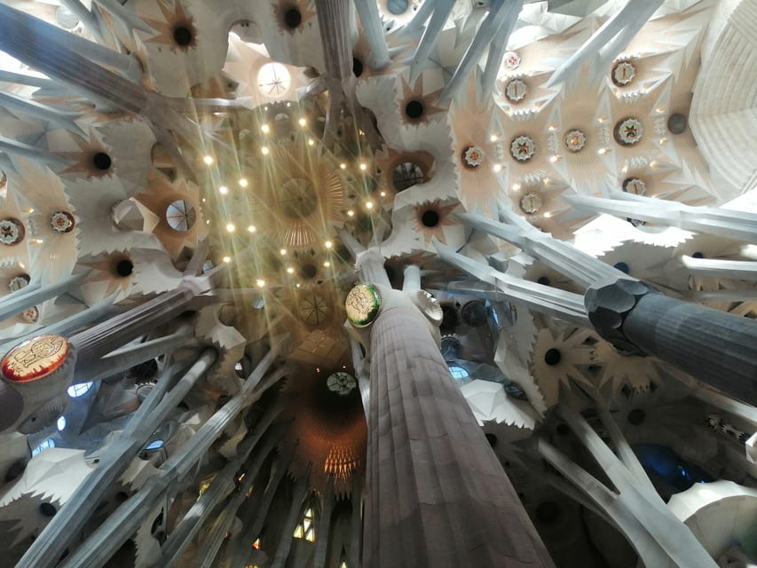 Barcelona: Park Güell Skip-the-Line Guided Tour - Winding viaducts, Gaudí’s design logic, and the symbolism you’ll miss