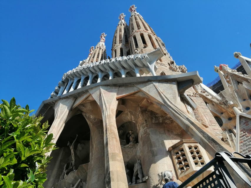 Barcelona: Park Güell Skip-the-Line Guided Tour - Skip-the-line: how it changes your day at Park Güell