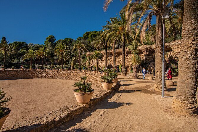 Barcelona: Park Guell Small Guided Tour & Skip the Line Ticket - Meeting point and the 11:00 am start you should plan around