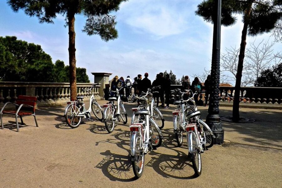 Barcelona: Personalized Private E-Bike Tour - The 3.5 hours on an e-bike: how you control the pacing