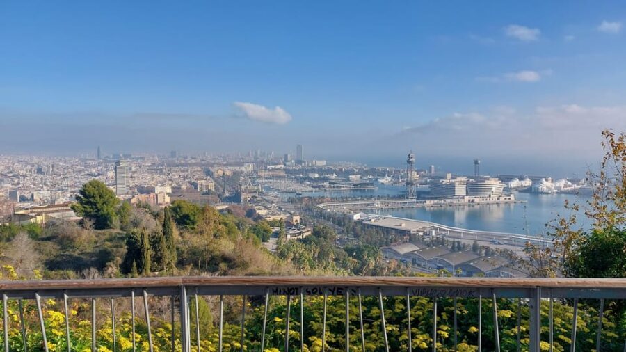 Barcelona: Private City Tour - La Rambla to the historic core: street energy with less stress