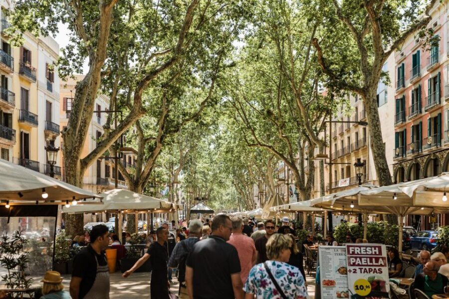 Barcelona: Private Custom Tour with a Local – Icons & Gems - Small practical tips so you get the most out of the walk