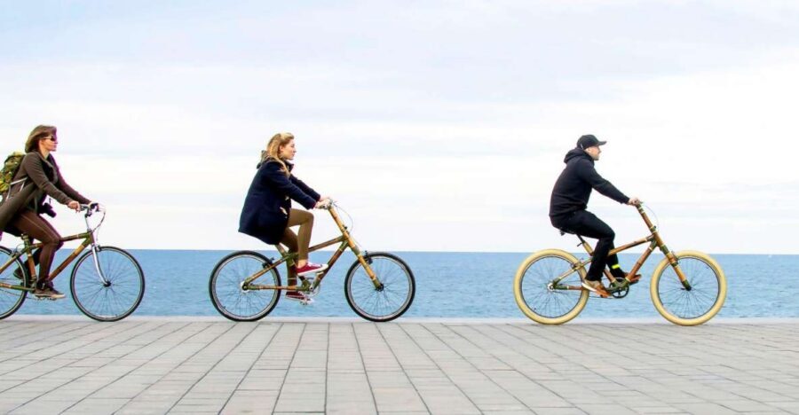 Barcelona: Private Highlights Tour by Bamboo Bicycle - Private Guide Magic: Custom Routes and Real Pacing