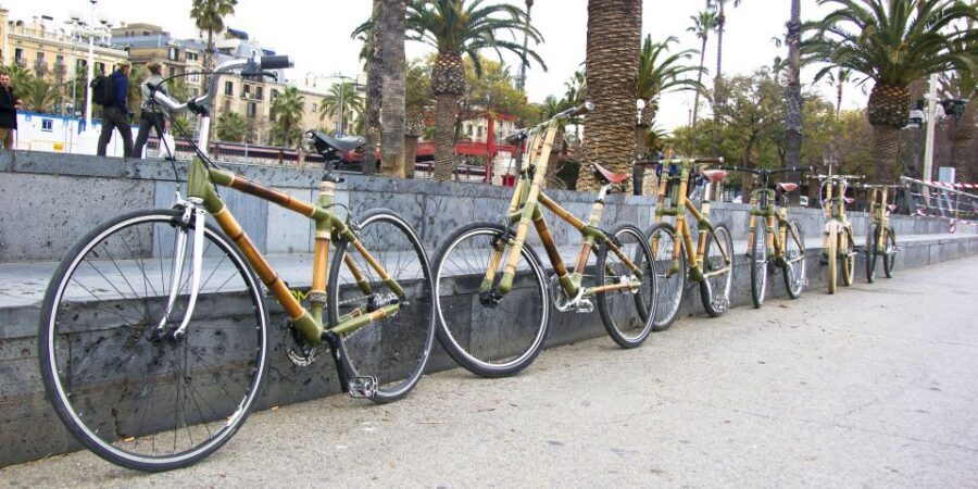 Barcelona: Private Highlights Tour by Bamboo Bicycle - Price and Value: Is $59 Worth It?