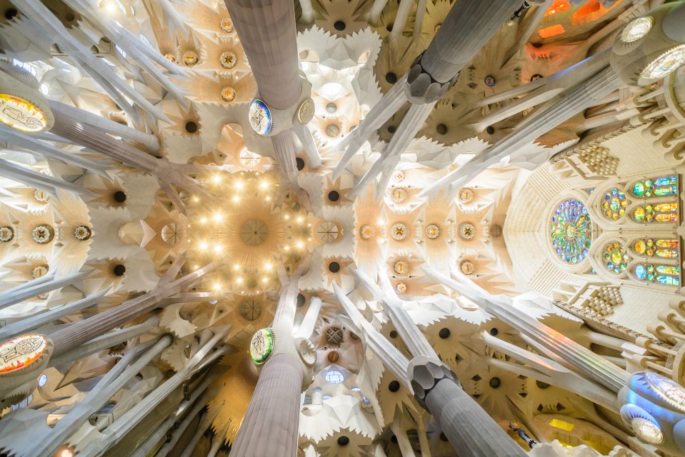 Barcelona: Sagrada Familia Fast-Track Guided Tour - Why Sagrada Familia feels different with a guide