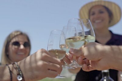 Barcelona Sailing Adventure and Small Group Winery Tasting Tour - The 4-Wine Tasting and Catalan Brunch Pairing