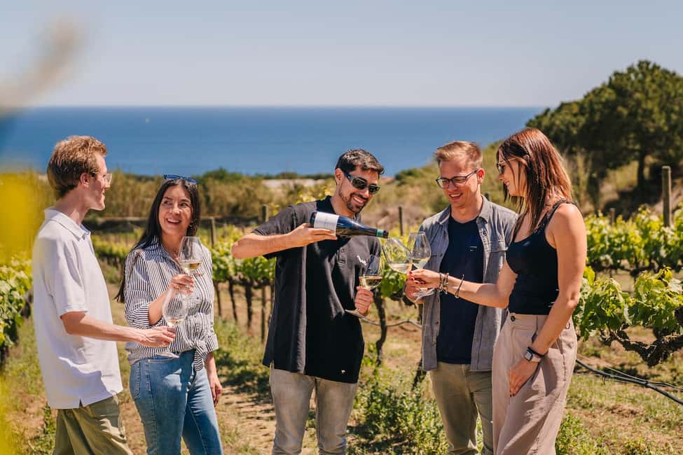 Barcelona: Sailing Cruise & Vineyard Tour with Wine Tasting - Port Olímpic sailing toward Alella: what the time on the water feels like