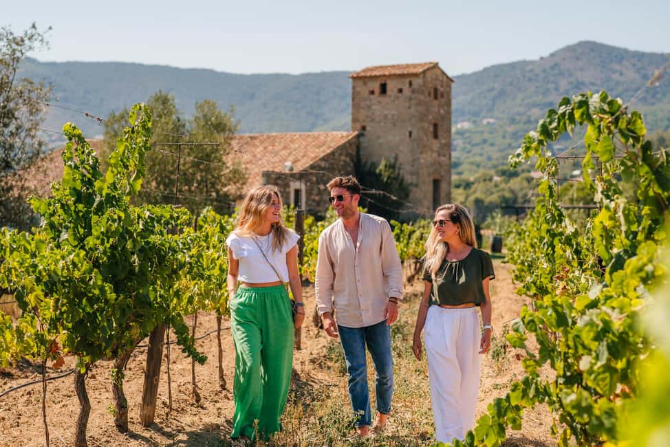 Barcelona: Sailing Cruise & Vineyard Tour with Wine Tasting - Timing and transfers: how the day stays efficient