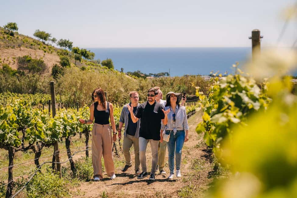 Barcelona: Sailing Cruise & Vineyard Tour with Wine Tasting - Practical tips that make your day smoother