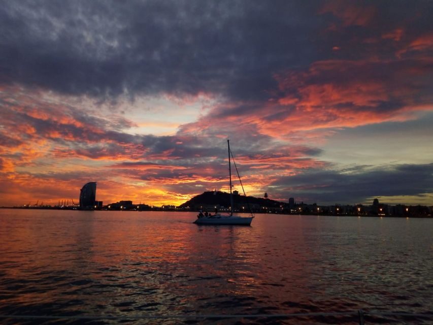 Barcelona: Sailing Tour with a Glass of Cava - If conditions are right: the sea swim and the chances of dolphins or tuna