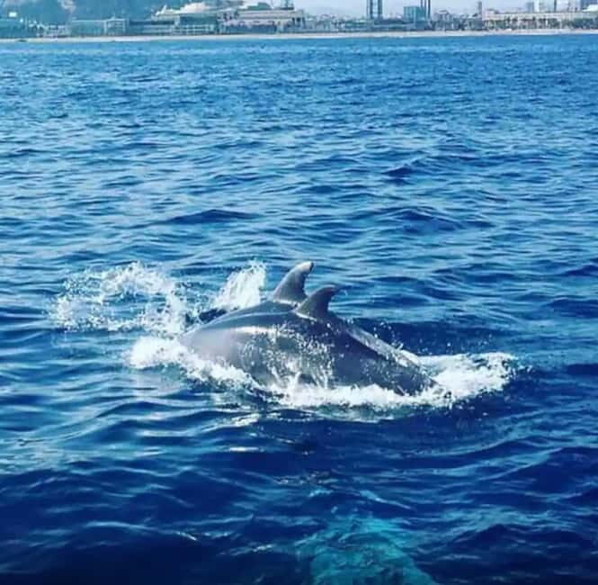 Barcelona: Sailing tours con capitán local, bebidas y snacks - How the 2 hours play out: Moll de Mestral to the skyline and back