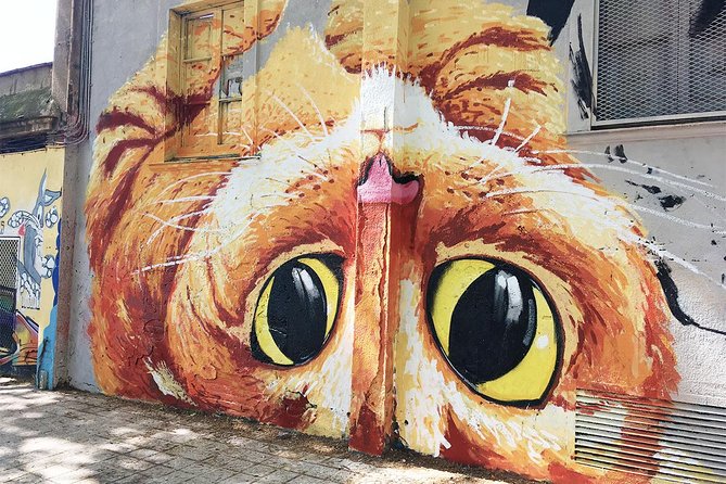 Barcelona Street Art and Graffitti Bicycle Tour - Bike Comfort, Helmets, and Photo Stops Without the Parking Panic
