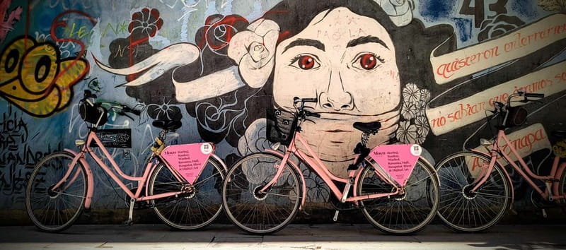Barcelona | StreetArt Bike Tour Moco Museum - The opening stretch: from El Gat de Botero and the CCCB photo stop