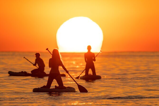 Barcelona: Sunrise Paddle Surf with Instructor and Photos - Gear check: board, wetsuit, and safety that feels practical