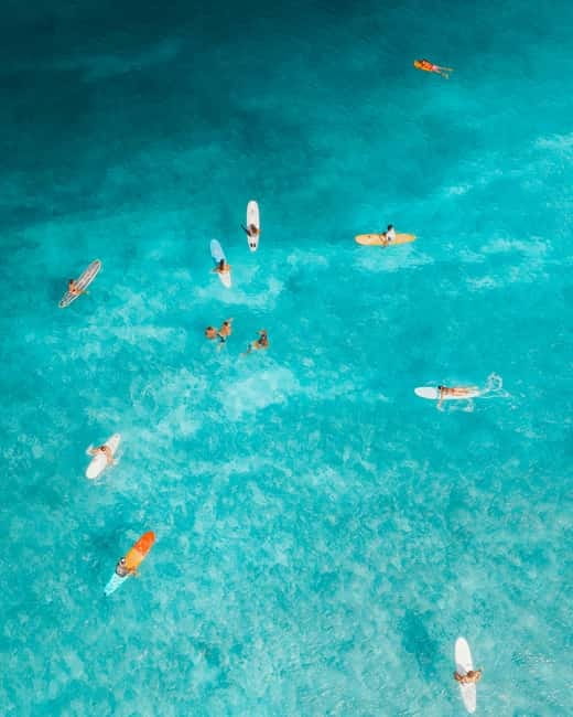 Barcelona: Sunrise & Sunset Paddle Surf Experience - Key moments I’d target