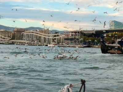 Barcelona: Sunset Cruise with Snacks and Drinks - Getting to ESCOLA NÀUTICA ALTAIR and finding the ship