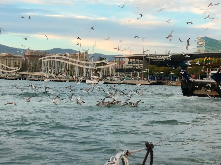 Barcelona: Sunset Cruise with Snacks and Drinks - Getting to ESCOLA NÀUTICA ALTAIR and finding the ship