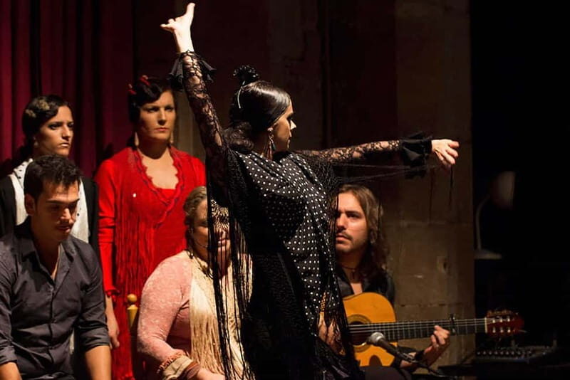 Barcelona: Tapas and Wine with Flamenco Show in the Old Town - Who this tour fits best (and who should skip it)