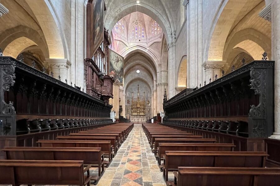 Barcelona: Tarragona & Sitges Guided Day Trip with Transfers - Price and value: does $224 per person make sense?