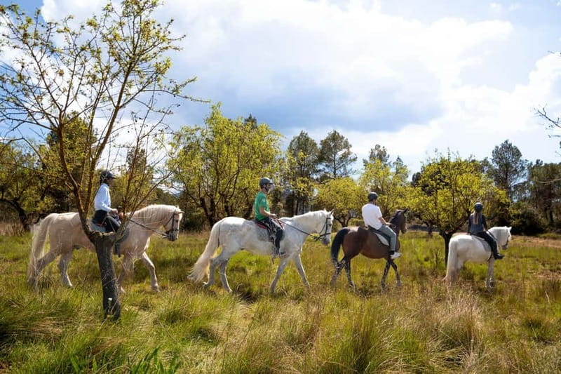 Barcelona: Walking and Horse Riding Day-Trip in Montserrat - Key Things I’d Prioritize on This Montserrat Day