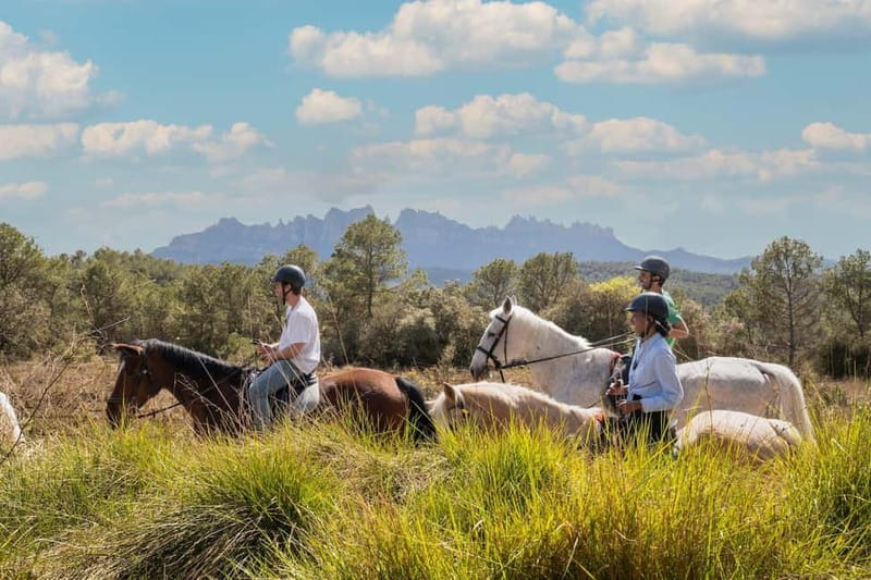 Barcelona: Walking and Horse Riding Day-Trip in Montserrat - Free Time and the Food Market Stop: Make It Count