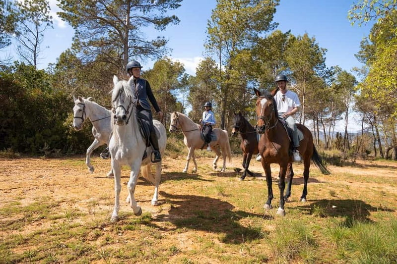 Barcelona: Walking and Horse Riding Day-Trip in Montserrat - Price and Value: What $95 Really Includes