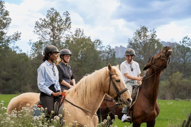 Barcelona: Walking and Horse Riding Day-Trip in Montserrat - Meeting at Passeig de Gràcia and the 8:00 AM Start