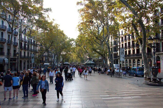 Barcelona's El Raval and the Gothic Quarter: A Self-Guided Audio Tour - Squares, Shortcuts, and the Art of Staying Oriented